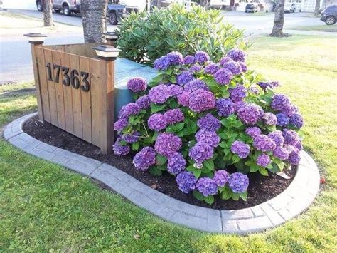 best flowers plants to hide an electric box|bushes to hide electrical units.